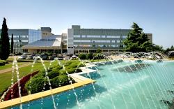 Aminess Vival Maestral Hotel