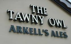 The Tawny Owl