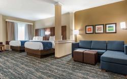 Comfort Inn & Suites Downtown near University