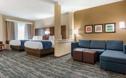 Comfort Inn & Suites Downtown near University