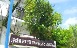 Okinawa Hostel Yanbaru Fukuro