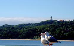Byron Bay Side Central Studio Apartments