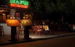 Okaliptus Otel