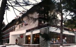 Ana Hotels Bradul Poiana Brasov