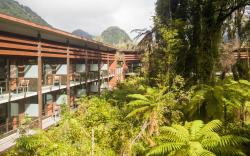 Te Waonui Forest Retreat