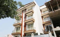 Collection O Paradise Franchisee Near Appu Ghar