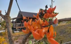 PATCHARA VIEW HOTEL UBON RATCHATHANI