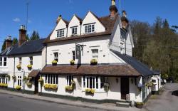 The Drummond at Albury                                                                     