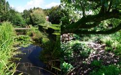 Kenilworth Garden Accommodation