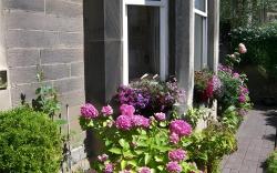 Highfield Guest House