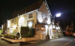 The Dog at Wingham