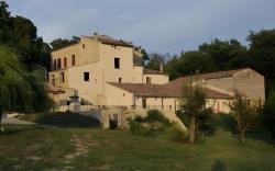 Les Ânes de Forcalquier