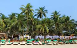 Art Resort Goa