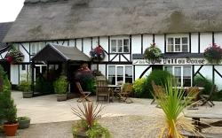 The Willow House