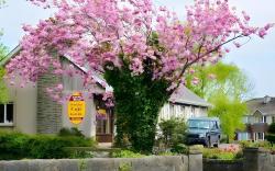 Ach na Sheen Guest House