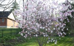 Carrousel Bed & Breakfast