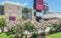 Comfort Suites Near Texas A&M - Corpus Christi