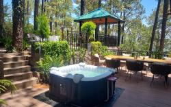 Alpviram Villa, 4 Bhk En-suite villa with elevator