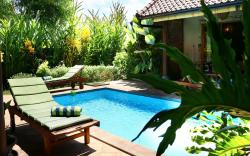 Dolphin at Lovina Beachhouse Villas