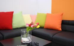 Smart-Tech Plaza Flat