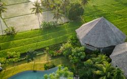TheWakanda Resort A Pramana experience