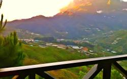 Crystal Hill R