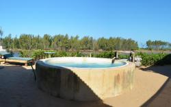 The Hatchery