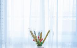 Hanting Premium Hotel Yingshang Wuzhou Wanhuicheng