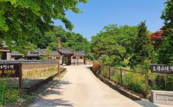 tohyanggotaeg (Korea Quality)