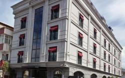 Cityloft 81