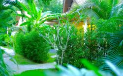 The Nature House Aonang Krabi Thailand
