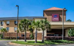 Comfort Suites North Mobile