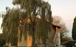 Bed and Breakfast Podere La Pace