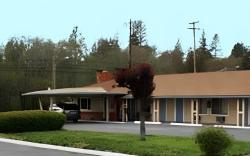 Lark Motel Willits