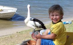 Maroochy River Resort & Bungalows