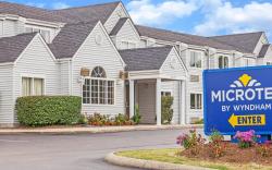 Microtel Inn & Suites by Wyndham Lexington
