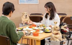 KAMENOI HOTEL SHIOBARA Dog Friendly Hotel