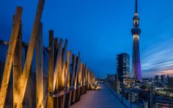 ONE@Tokyo by insomnia