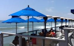 Sea Horse Resort