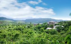 Forest Escapes Koyna