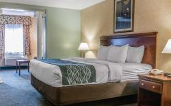 Quality Inn & Suites Coldwater near I-69