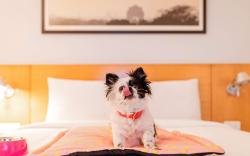 ibis Chennai Omr - An Accor Brand