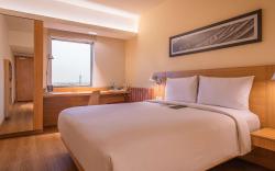 Ibis Jaipur City Centre