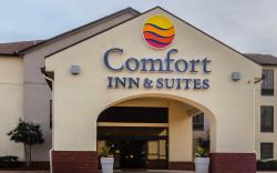 Comfort Inn & Suites Jasper Hwy 78 West