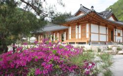 dagagada hanok (Korea Quality)
