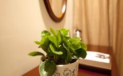 GreenTree Inn Suzhou Dangshan Dayukou Express Hotel