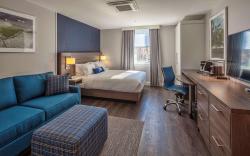 Scholar State College, Tapestry Collection by Hilton