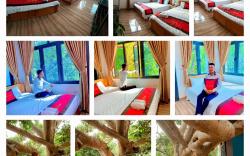 Hang Mua Lucky House