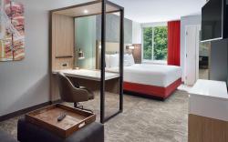SpringHill Suites by Marriott Atlanta Northwest