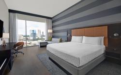 Holiday Inn Express Houston Galleria Area By IHG
